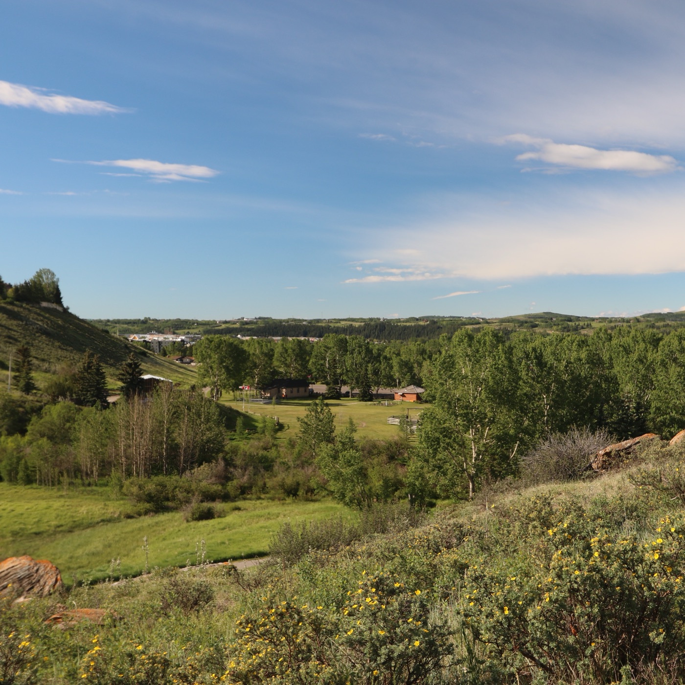 Summer view over the Cochrane Ranche historic site with foothills beyond