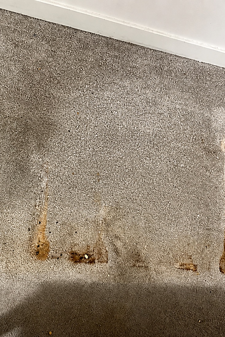 Before photo of carpet, stained and soiled, before a NeatNow clean in Calgary